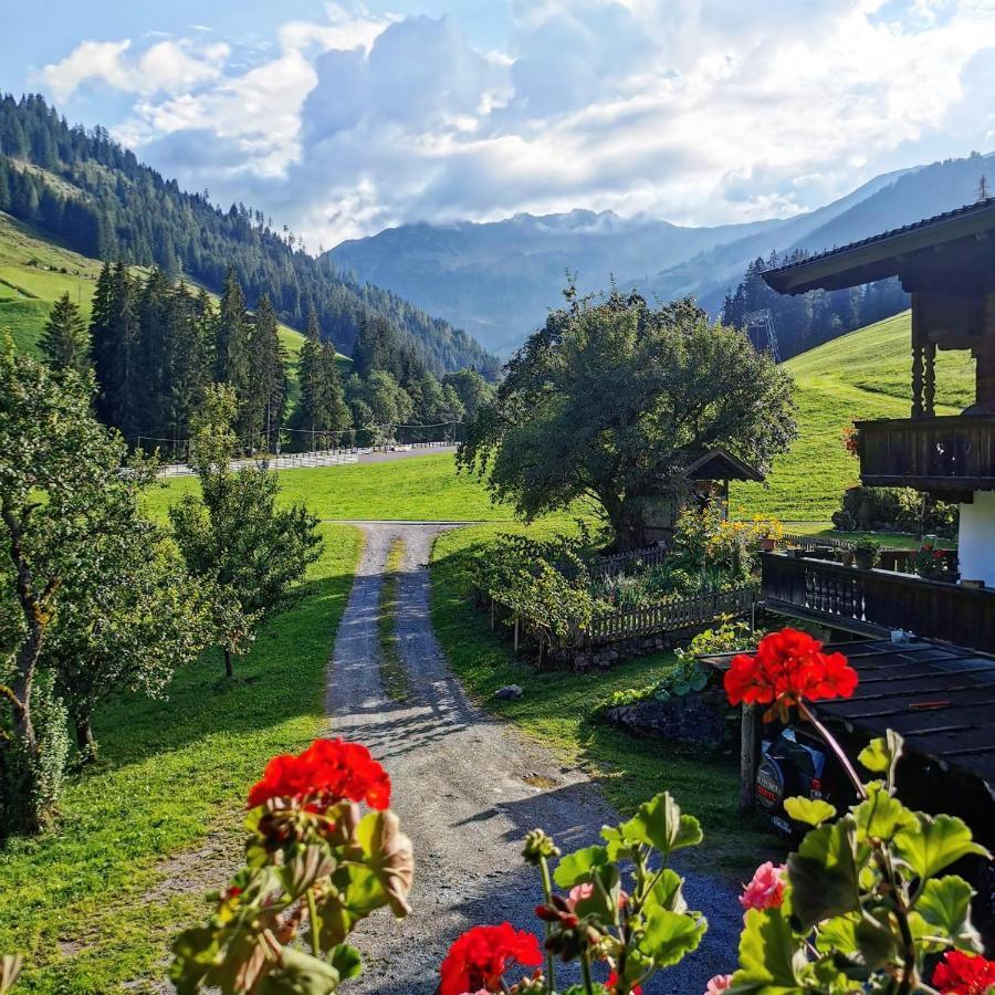 Ferienwohnungen Lehenhof ألباخ المظهر الخارجي الصورة